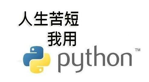 11周精通Python计划(完整版)