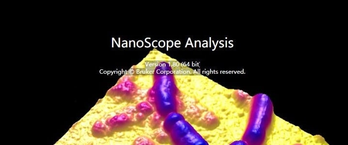 NanoScope Analysis v1.8(AFM数据处理软件) 64位 免安装版